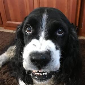 Meet your Posher, Jerry